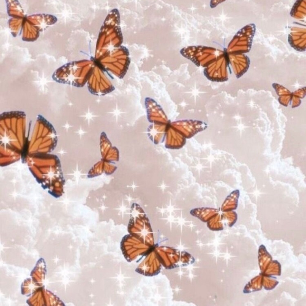 Meet your Posher, Analise